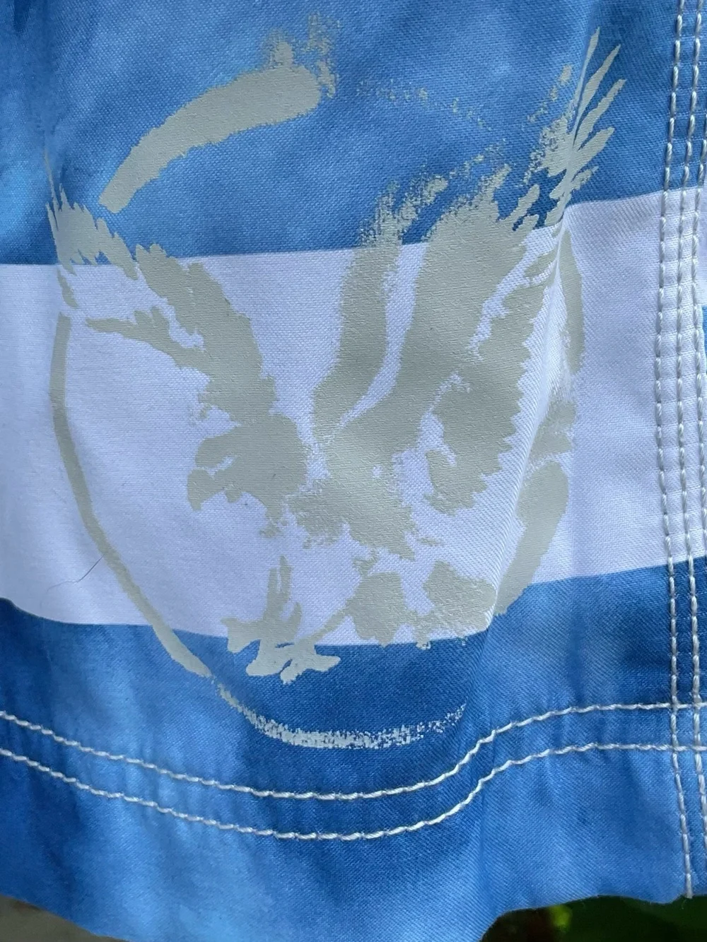 American Eagle Y2K Blue White Striped Swim Trunks Board Shorts Mesh Lined XS